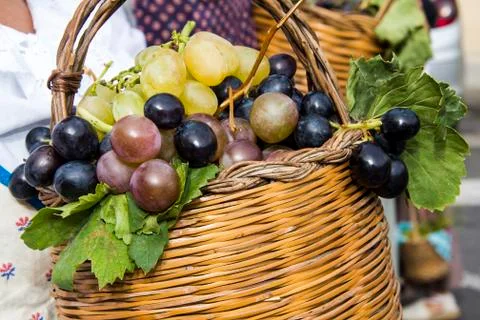 Grape basket 스톡 사진