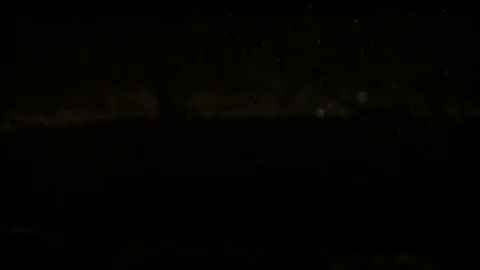 Grape berries falling and rolling on wet surface, Ultra Slow Motion Video stock 86575226