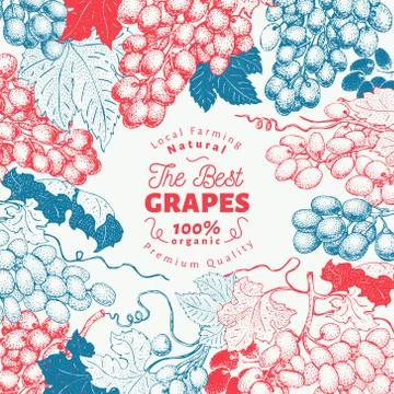 Grape berry frame template. Hand drawn vector fruit illustration. Engraved style Stock Illustration