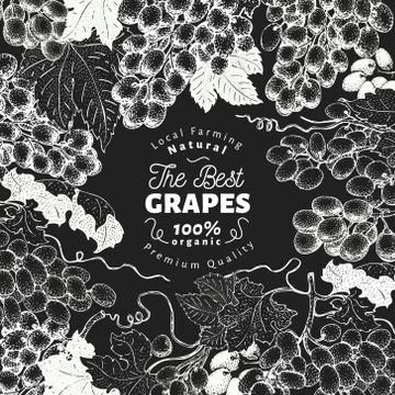 Grape berry frame template. Hand drawn vector fruit illustration on chalk board Stock Illustration
