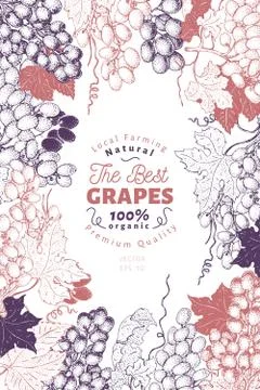 Grape berry frame template. Hand drawn vector fruit illustration. Engraved style Stock Illustration