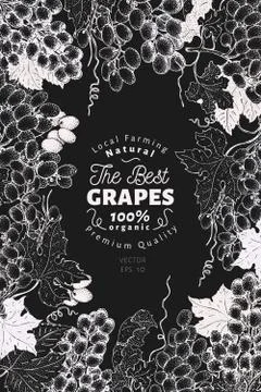 Grape berry frame template. Hand drawn vector fruit illustration on chalk board Illustrazione stock