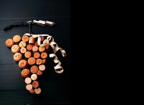 Grape bloom in black copy space Stock Photos