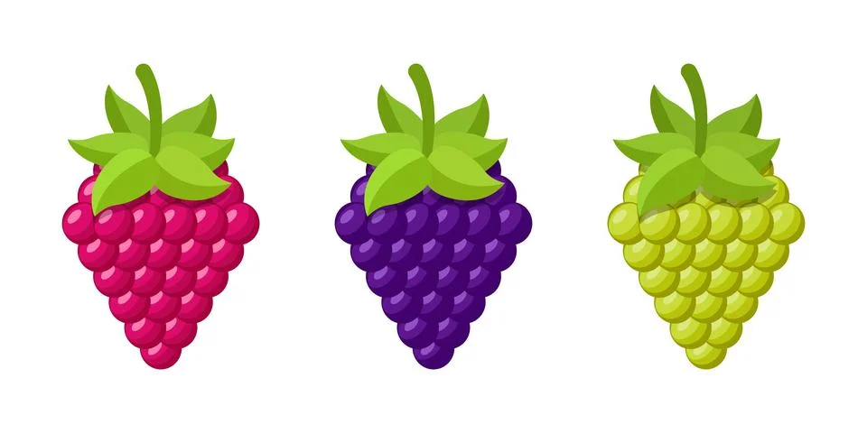 Grape, blueberry, raspberry fruit icon set collection in flat style. Berry .. Stock Illustration