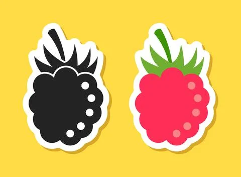 Grape, blueberry, raspberry sticker fruit icon set collection in flat style.. Stock Illustration