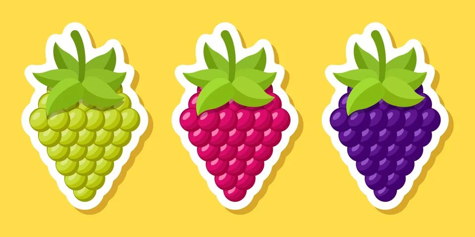 Grape, blueberry, raspberry sticker fruit icon set collection in flat style.. Illustrazione stock