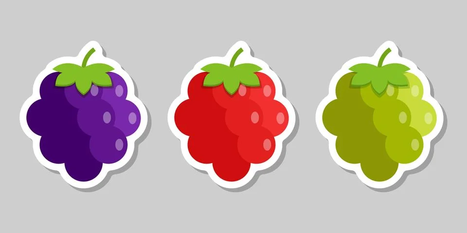 Grape, blueberry, raspberry sticker fruit icon set collection in flat style.. Stock Illustration