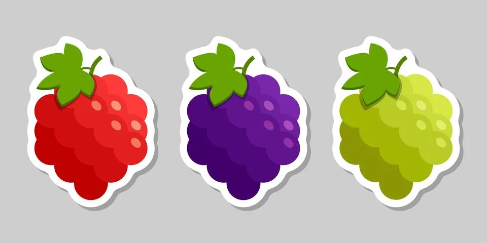 Grape, blueberry, raspberry sticker fruit icon set collection in flat style.. Stock Illustration