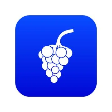 Grape branch icon digital blue Stock Illustration