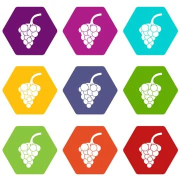 Grape branch icon set color hexahedron Stock Illustration