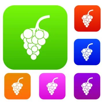 Grape branch set collection Stock Illustration