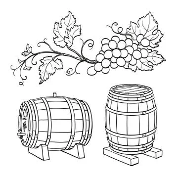 Grape branches and wine barrels Stock Illustration