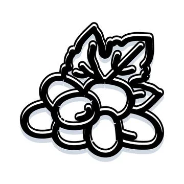 Grape bunch abstract line art vector icon Stock Illustration