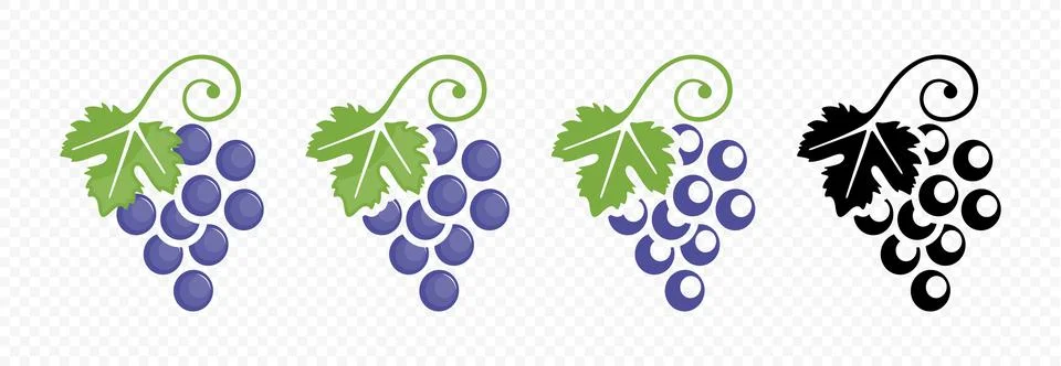 Grape bunch with grape leaf vector illustration Stock Illustration