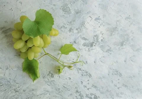 Grape. A bunch of grapes with a grape leaf. Healthy  grapes. Banner.Top vie.. Stock Photos