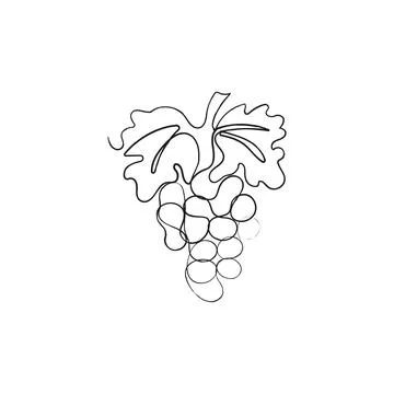 Grape bunch. One line drawing art illustration. Stock Illustration