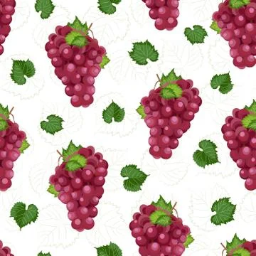 Grape bunch seamless pattern on white background with leaves and sketch, Fres Illustrazione stock