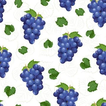 Grape bunch seamless pattern on white background with leaves and sketch, Fres 스톡 일러스트