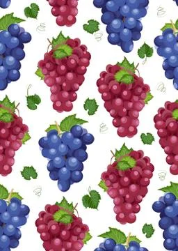 Grape bunch seamless pattern on white background with leaves, Fresh organic f Illustrazione stock