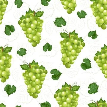Grape bunch seamless pattern on white background with leaves and sketch, Fres Stock Illustration