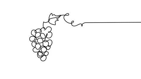 Grape bunch single line animated illustration. One continuous self drawing line Stock Footage 301601591