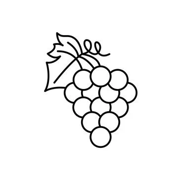 Grape bunch thin line black icon. Vector EPS 10. Simple fruit symbol on white. Stock Illustration