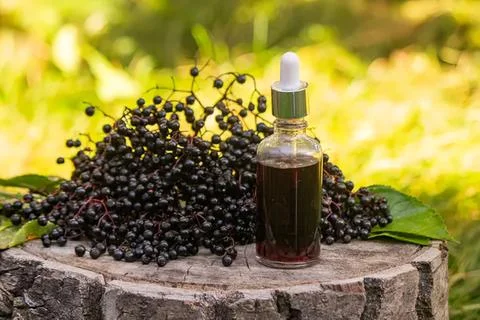 Grape bunch with wine bottle on rustic stone table in vineyard Stock Photos