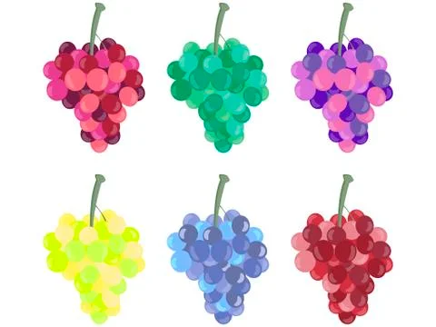 Grape bunches of different colors, different grape varieties isolated Illustrazione stock