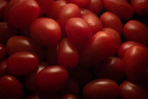 Grape / cherry red tomato macro close up Stock Photos
