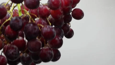 Grape close-up, the concept of winemaking, the process of making wine, and the Stock Footage 318479944