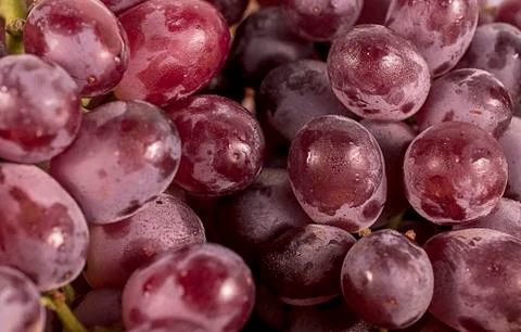 Grape close up isolated on background Stock Photos