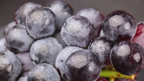 Grape, closeup of grape with drops Stock Footage 203923352
