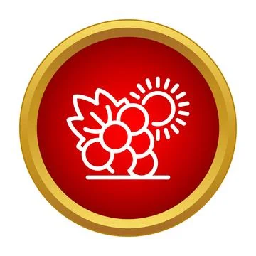 Grape cluster and sun line icon on red circle Stock Illustration