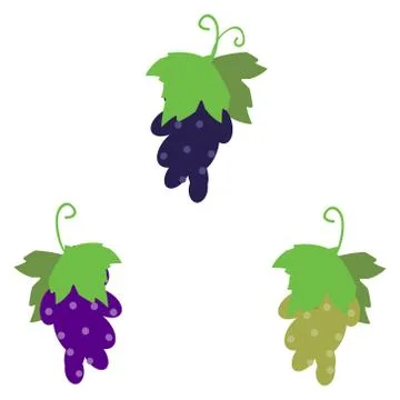 Grape cluster isolated on white Stock Illustration