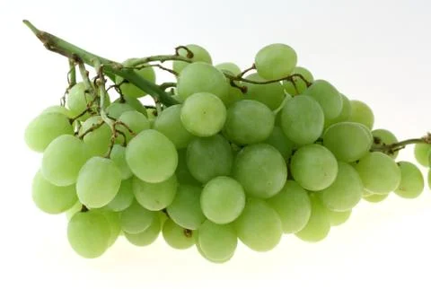 Grape cluster Stock Photos