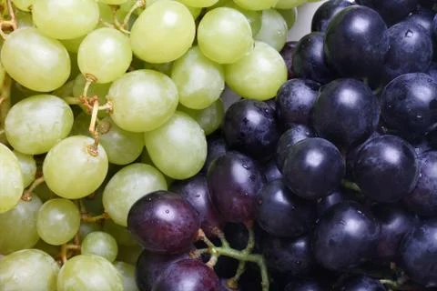Grape cluster Stock Photos