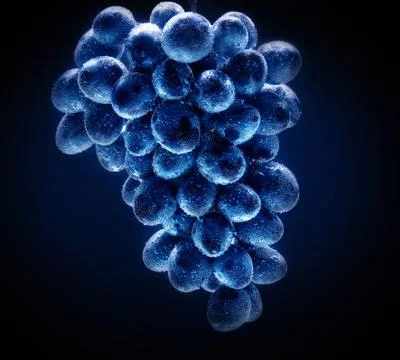 Grape cluster Stock Photos