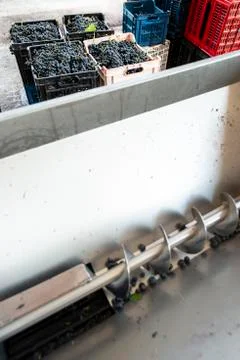 Grape crushing machine Foto stock