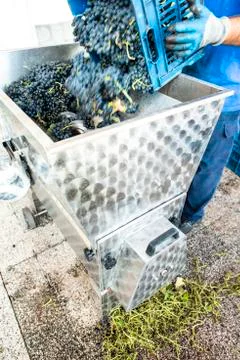 Grape crushing machine Stock Photos