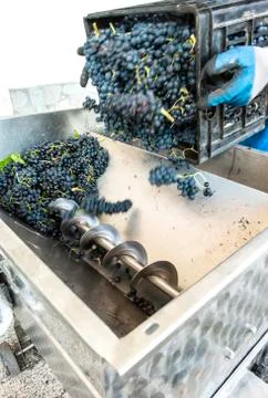 Grape crushing machine Stock Photos