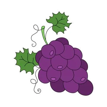 Grape doodle Vector color illustration isolated on white Stock Illustration