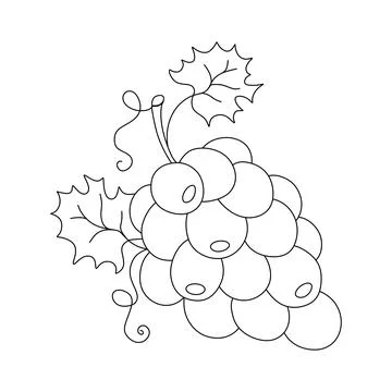 Grape doodle Vector illustration coloring book for Kids Stock Illustration