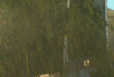 Grape dump 03 Stock Footage 621287