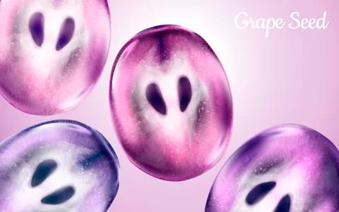 Grape elements illustration Stock Illustration