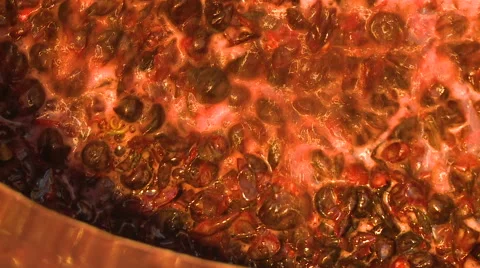 Grape in fermentation tank Stock Footage 51166741