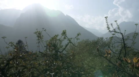 Grape field valley 스톡 동영상 62263355