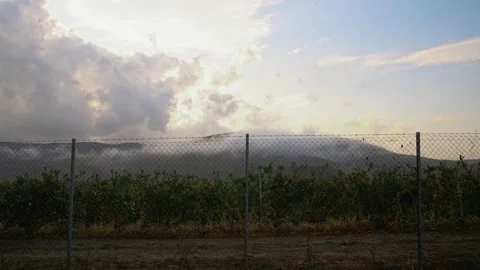 Grape fields fenced with a chain-link fence in cloudy weather Stock Footage 270069284