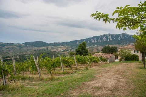 Grape fields at the foot of Monte Titano, San Marino, an independent country Stock Photos
