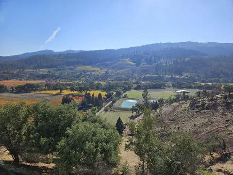 Grape fields forming different colors outside of Sterling Vineyard in Napa Stock Photos