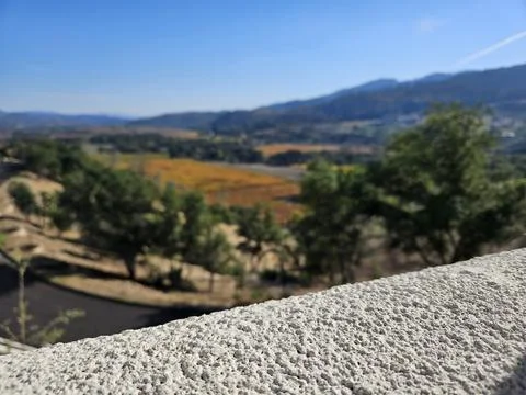 Grape fields forming different colors outside of Sterling Vineyard in Napa Stock Photos